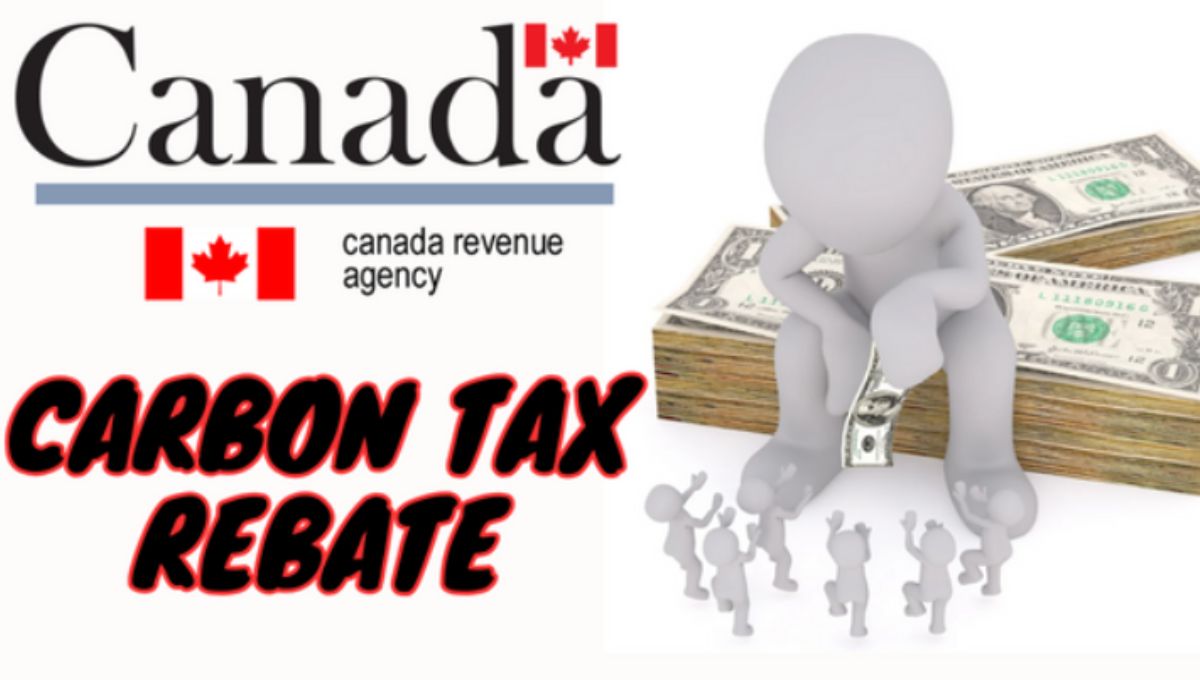 Carbon Tax Changes 2024