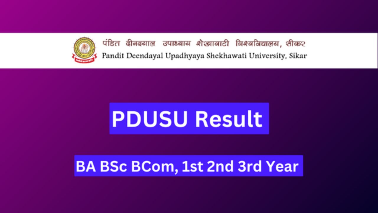 PDUSU BA 1st Year Result 2024 - How To Check The Shekhawati University Result 2024?